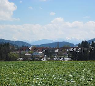 Blick vom Grabhofweg
