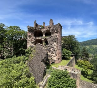 Schloss Heidelberg