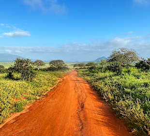 Taita Hills Reservat