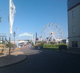 Monica Pier