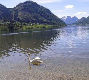 Ausflug zum Grundlsee - das Steirische Meer!