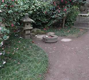 Zoologischer Stadtgarten