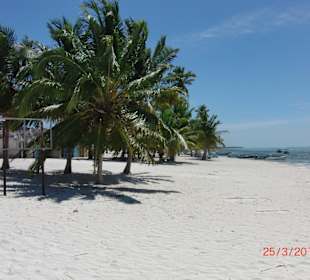 Traumstrand der Insel Saona