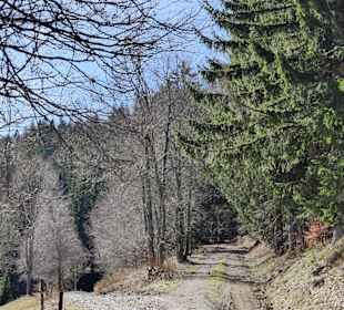 Wandern Todtnau