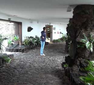 Jameos del Agua