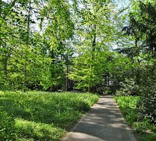 Rundgang durch den Von-Alten-Garten