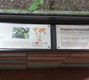 Regenwaldhaus