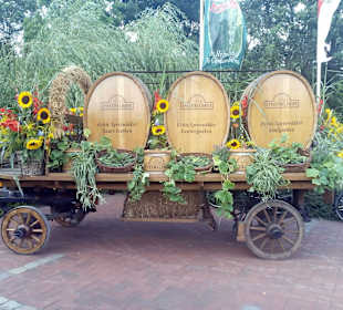 Großer Spreewaldhafen Lübbenau in Lübbenau