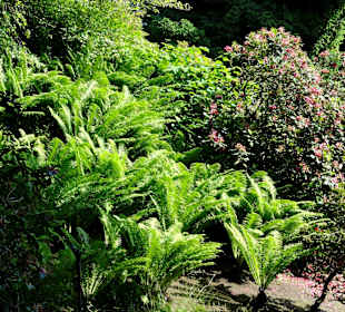 Impressionen von der Insel Siebenbergen