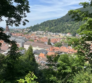 Schloss Heidelberg