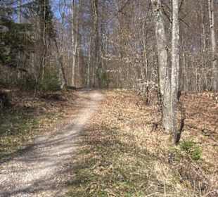 Geologischer Lehrpfad Kirnbachtal
