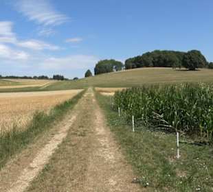 Tour entlang der Traifelbergfelsen