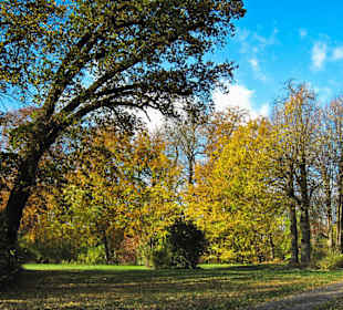 Парк Замка Ойтин. Золотая осень.