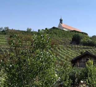 Früchtetrauf - Wurmlinger Kapellenwegle