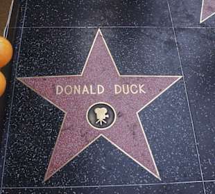 Stern am Walk of Fame