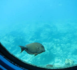 Aussicht vom Unterwasserturm