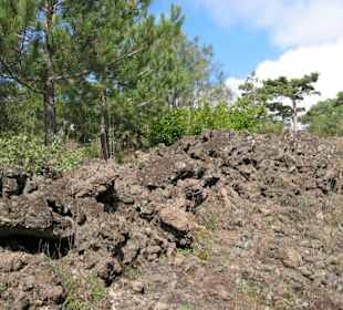 Lava durchfrisst den Wald