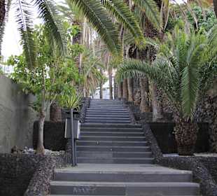 Wandern Puerto de la Cruz	