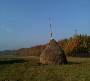 Kampinoski Park Narodowy