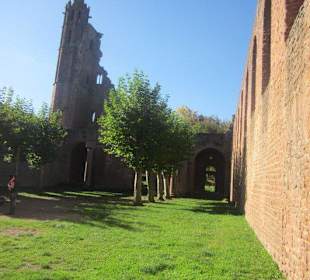 Klosterruine Limburg
