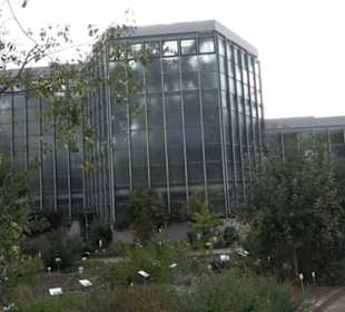 Apothekergarten