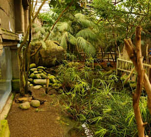 Schöner Zoo in Fuengirola