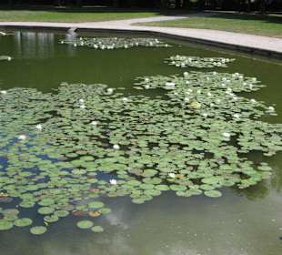 Schlossgarten Rastatt