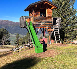 Zirbenpark Hochzeiger