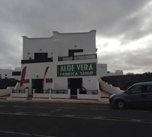 Aloe Vera Infocenter Lanzarote - La Santa
