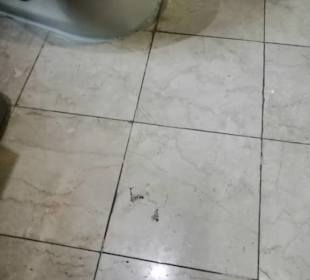 Zu erhalten das kleingedruckte bei Gebeco lesen