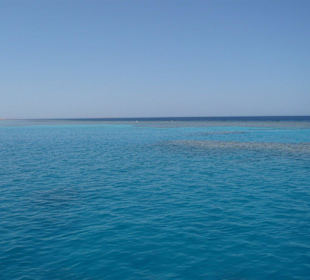 Auf dem Weg nach Mahmya