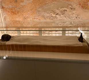 King Tut Museum