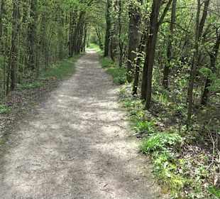 Walderlebnisweg Rottenburg
