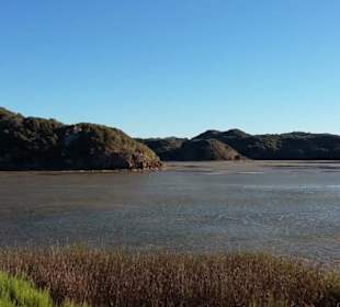 S´Albufera des Grau