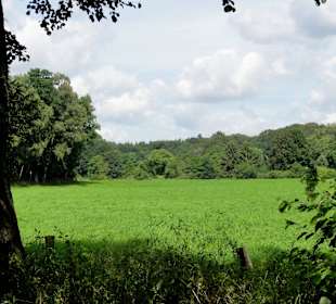 Unterwegs auf dem Huntepadd