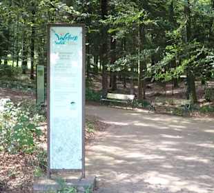 Wellnesswald Waldachtal
