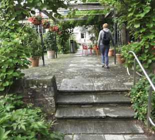 Zentrum für Pflanzen und Bildung 