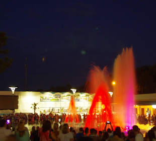 Аркадия, светомузыкальный фонтан