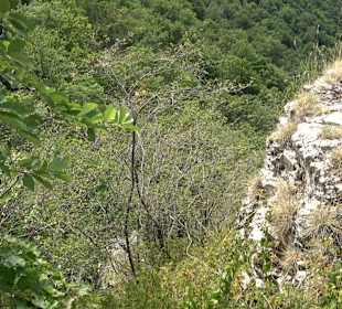 Tour entlang der Traifelbergfelsen