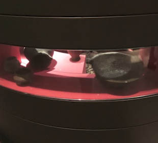 Rheinisches Landesmuseum