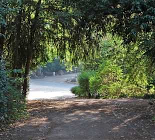 Rundgang durch den Volksgarten Köln