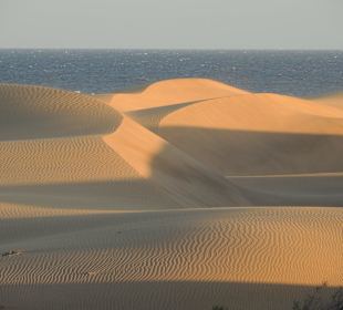 Dünen von Maspalomas