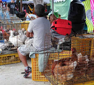 Rundgang über den Marché forain du Front de Mer