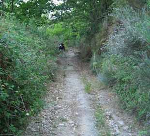 Irgendwo auf dem Weg