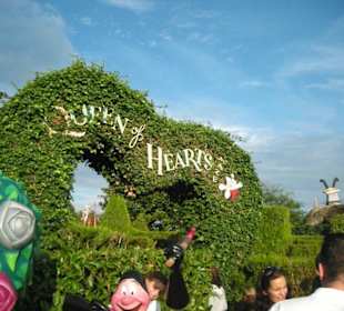 Alice nel paese delle meraviglie