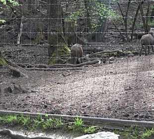 Walderlebnisweg Rottenburg