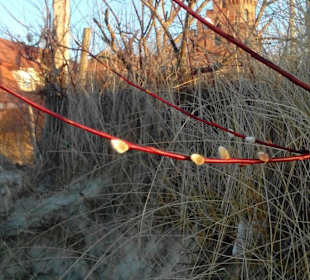 Unterwegs.. mit Karin