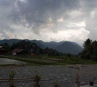 Droga do Bukit Lawang