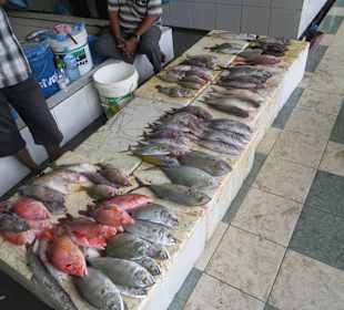 Unterwegs im einheimischen Markt 