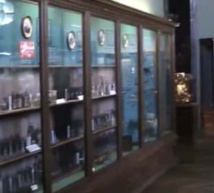 Naturhistorisches Museum